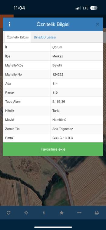 GÜVENAY - ÇORUM MERKEZ HAMAMLIÇAY KÖYÜ YOLU ÜZERİ SATILIK TARLA 