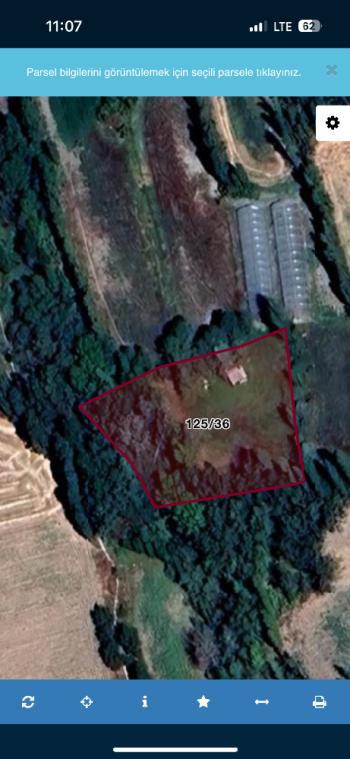 GÜVENAY - ÇORUM MERKEZ BEYDİLLİ KÖYÜ SATILIK BAHÇE 