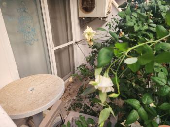 ???? DİDİM EFELER MAHALLESİNDE EŞYALI, HAVUZLU SİTE İÇERİSİNDE  YATIRIMLIK FIRSAT 1+1 DAİRE ????