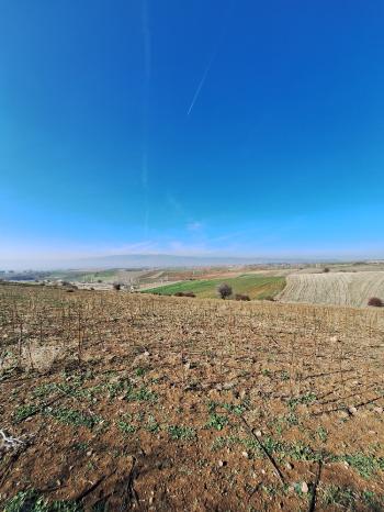 GÜVENAY - ÇORUM BÜĞET KÖYÜ YATIRIMLIK 11,085 M2 SATILIK TARLA