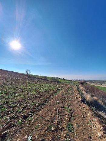 GÜVENAY - ÇORUM BÜĞET KÖYÜ YATIRIMLIK 11,085 M2 SATILIK TARLA