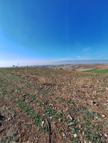 GÜVENAY - ÇORUM BÜĞET KÖYÜ YATIRIMLIK 11,085 M2 SATILIK TARLA