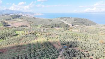 MUDANYA ALTINTAŞ 110 METRE RESMİ YOLU OLAN , DENİZ MANZARALI, BAĞ NİTELİĞİNDE, SATILIK 5.600 M2 ARAZİ