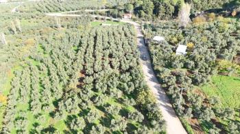 MUDANYA ALTINTAŞ 110 METRE RESMİ YOLU OLAN , DENİZ MANZARALI, BAĞ NİTELİĞİNDE, SATILIK 5.600 M2 ARAZİ