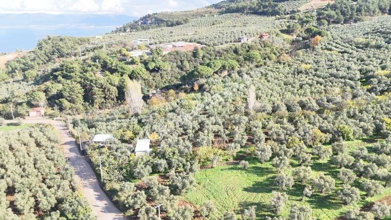 MUDANYA ALTINTAŞ 110 METRE RESMİ YOLU OLAN , DENİZ MANZARALI, BAĞ NİTELİĞİNDE, SATILIK 5.600 M2 ARAZİ