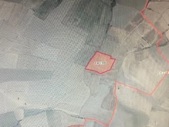 GÜVENAY - ÇORUM MECİTÖZÜ ELVANÇELEBİ  KÖYÜ SATILIK TARLA 