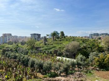 1+1 Apartment Arcadia Residence fully Fernitured 