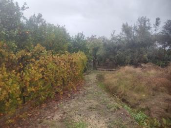 ASLAN'DAN ELVANLI MERKEZİNDE 630 M2 VİLLA YAPIMINA UYGUN ARSA