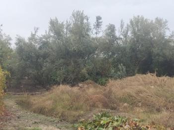 ASLAN'DAN ELVANLI MERKEZİNDE 630 M2 VİLLA YAPIMINA UYGUN ARSA