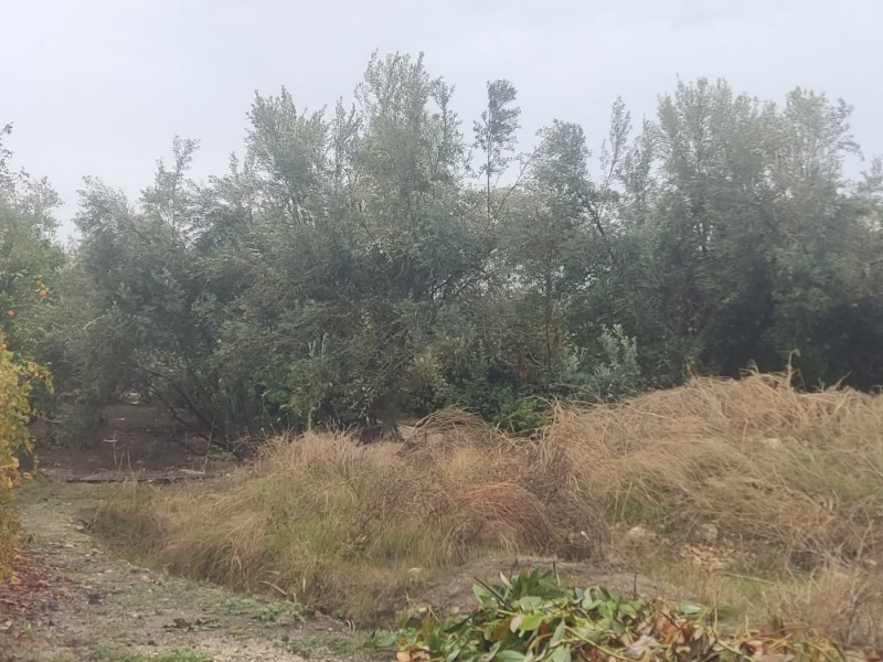 ASLAN'DAN ELVANLI MERKEZİNDE 630 M2 VİLLA YAPIMINA UYGUN ARSA