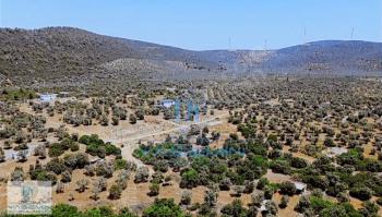 Satılık Didim Akyeniköy Kardelen Arsası