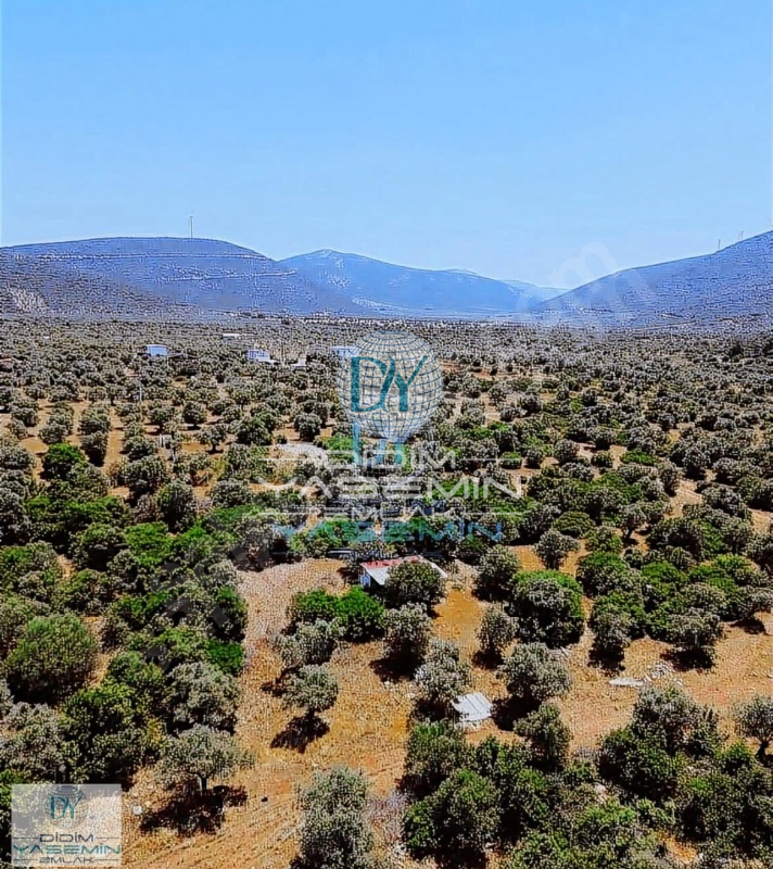 Satılık Didim Akyeniköy Kardelen Arsası