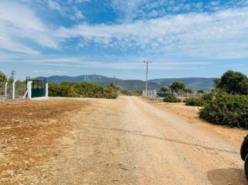 DİDİM BOZSEKİDE SATILIK KÖŞE BAŞI İMARLI VİLLA ARSASI