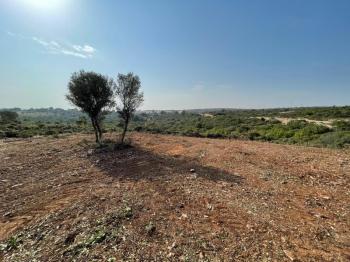 DİDİM BOZSEKİDE SATILIK KÖŞE BAŞI İMARLI VİLLA ARSASI