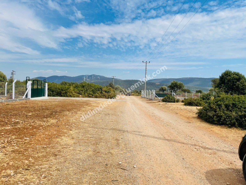 DİDİM BOZSEKİDE SATILIK KÖŞE BAŞI İMARLI VİLLA ARSASI