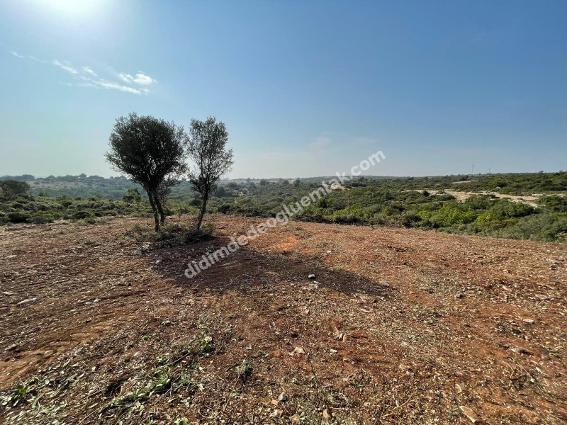 DİDİM BOZSEKİDE SATILIK KÖŞE BAŞI İMARLI VİLLA ARSASI