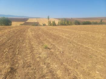 GÜVENAY - ÇORUM BÜĞET KÖYÜ SLİMKENT TOKİ ÜSTÜ SATILIK TARLA 