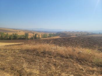 GÜVENAY - ÇORUM BÜĞET KÖYÜ SLİMKENT TOKİ ÜSTÜ SATILIK TARLA 