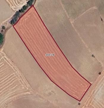 GÜVENAY - ÇORUM BÜĞET KÖYÜ SLİMKENT TOKİ ÜSTÜ SATILIK TARLA 