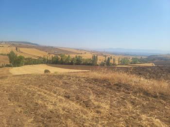 GÜVENAY - ÇORUM BÜĞET KÖYÜ SLİMKENT TOKİ ÜSTÜ SATILIK TARLA 