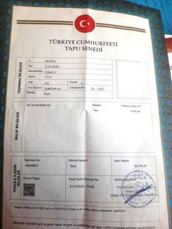 ZEYTİNLİK 19 DÖNÜM