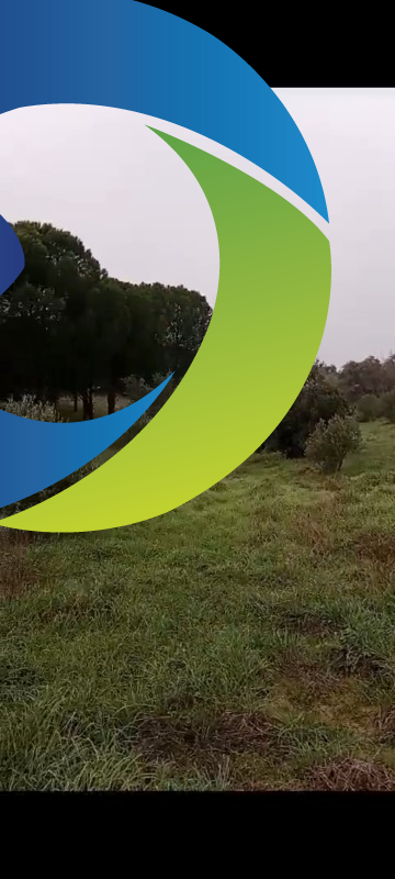 ZEYTİNLİK 19 DÖNÜM