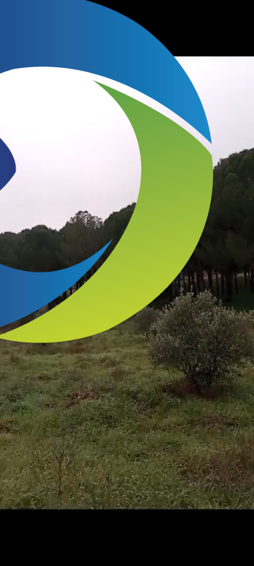 ZEYTİNLİK 19 DÖNÜM