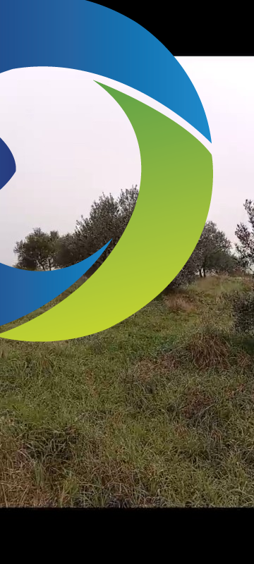 ZEYTİNLİK 19 DÖNÜM