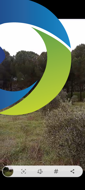 ZEYTİNLİK 19 DÖNÜM