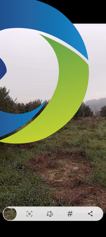 ZEYTİNLİK 19 DÖNÜM