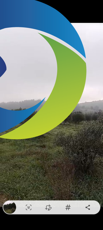 ZEYTİNLİK 19 DÖNÜM