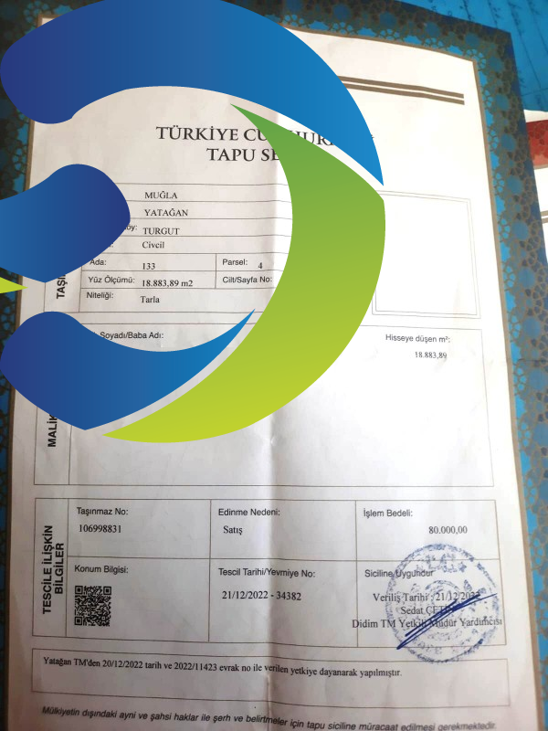 ZEYTİNLİK 19 DÖNÜM