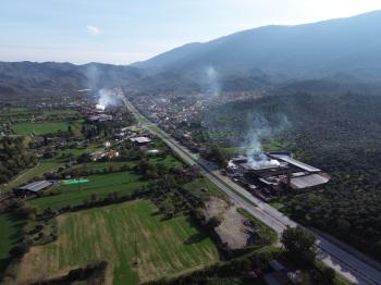 YOLA SIFIR SATILIK VERİMLİ ZEYTİNLİK