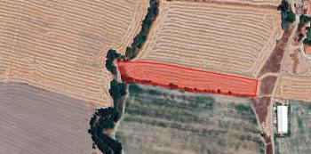 GÜVENAY - ÇORUM MERKEZ ÖMERBEY KÖYÜ SATILIK TARLA