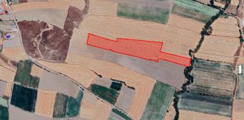 GÜVENAY - ÇORUM MERKEZ ÖMERBEY KÖYÜ 36 DÖNÜM SATILIK TARLA