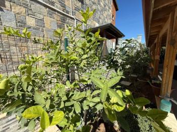 Didim Sağtur’da Deniz Yürüyüş Mesafesinde 4+1 Müstakil Villa