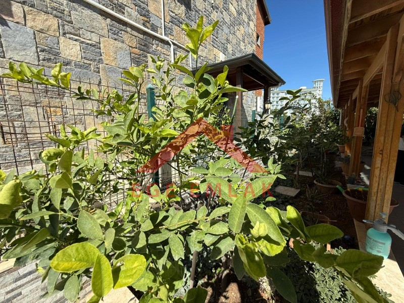 Didim Sağtur’da Deniz Yürüyüş Mesafesinde 4+1 Müstakil Villa