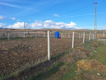 GÜVENAY - ÇORUM TATAR KÖYÜNDE 500 M2 HOBİ BAHÇESİ