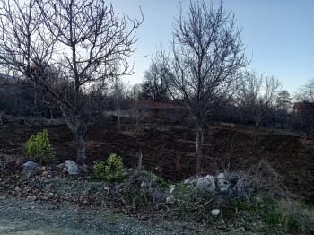 GÜVENAY - ÇORUM BOYRALI BAĞLARINDA 1526 m2 SATILIK BAĞ 