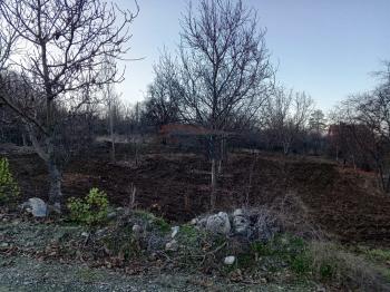 GÜVENAY - ÇORUM BOYRALI BAĞLARINDA 1526 m2 SATILIK BAĞ 