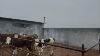 AFYYON ÜÇOK EMLAKTAN İHSANİYE KAYIHAN  KUNDUZLU KÖYÜNDE 28.300M² SATILIK TARLA 