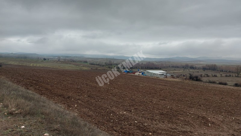 AFYYON ÜÇOK EMLAKTAN İHSANİYE KAYIHAN  KUNDUZLU KÖYÜNDE 28.300M² SATILIK TARLA 