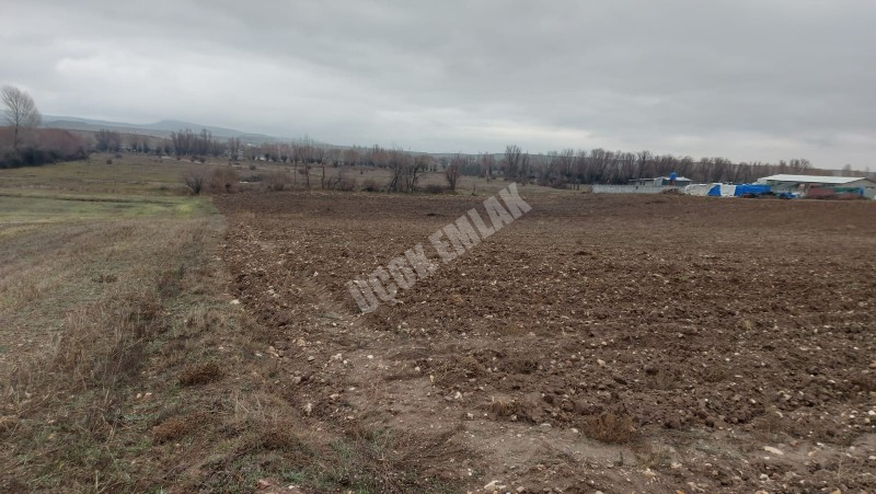 AFYYON ÜÇOK EMLAKTAN İHSANİYE KAYIHAN  KUNDUZLU KÖYÜNDE 28.300M² SATILIK TARLA 