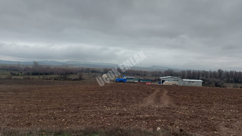 AFYYON ÜÇOK EMLAKTAN İHSANİYE KAYIHAN  KUNDUZLU KÖYÜNDE 28.300M² SATILIK TARLA 