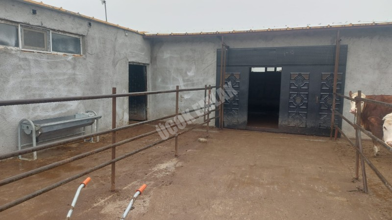 AFYYON ÜÇOK EMLAKTAN İHSANİYE KAYIHAN  KUNDUZLU KÖYÜNDE 28.300M² SATILIK TARLA 