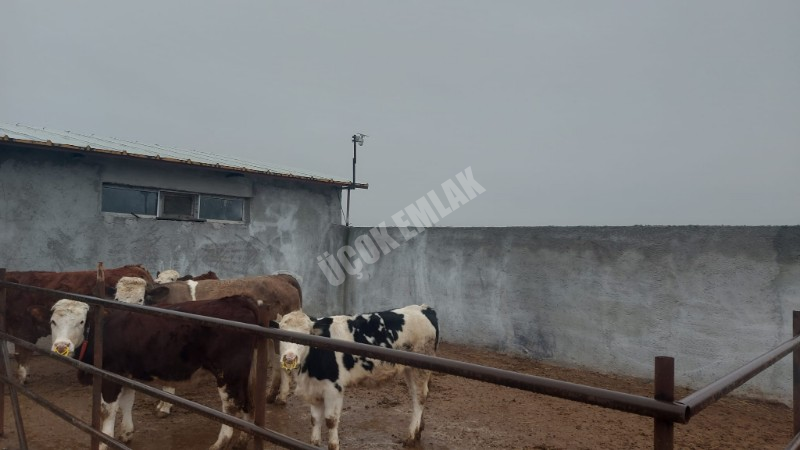 AFYYON ÜÇOK EMLAKTAN İHSANİYE KAYIHAN  KUNDUZLU KÖYÜNDE 28.300M² SATILIK TARLA 