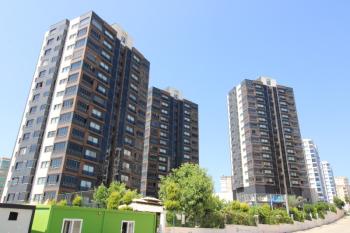 Elmas’tan Torosların Parıldayan Işıltısı Full Concept 5+1