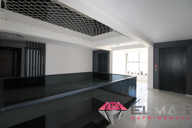 Elmas’tan Torosların Parıldayan Işıltısı Full Concept  5+1