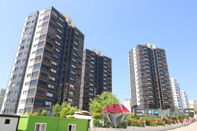 Elmas’tan Torosların Parıldayan Işıltısı Full Concept  5+1