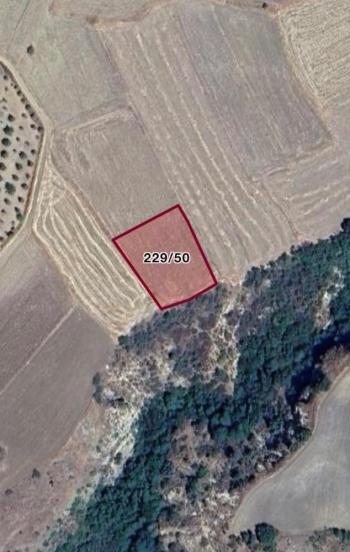 GÜVENAY - ÇORUM  BARAJ ÜST TARAFINDA TEK TAPULU SATILIK BAĞ 